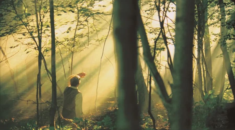 Joseph Smith Seer Stones: Doctrine and Covenants 6-9 Insights (Part 6)