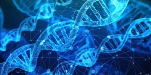 DNA Analysis Examination — examining genetic evidence related to Native American ancestry and the Book of Mormon